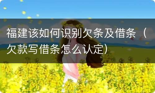 福建该如何识别欠条及借条（欠款写借条怎么认定）