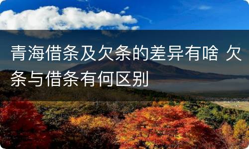 青海借条及欠条的差异有啥 欠条与借条有何区别