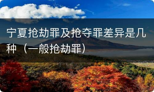 宁夏抢劫罪及抢夺罪差异是几种（一般抢劫罪）
