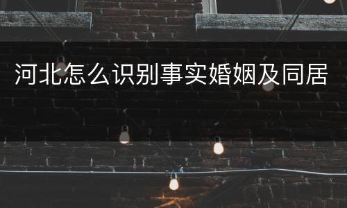 河北怎么识别事实婚姻及同居