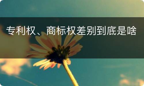 专利权、商标权差别到底是啥