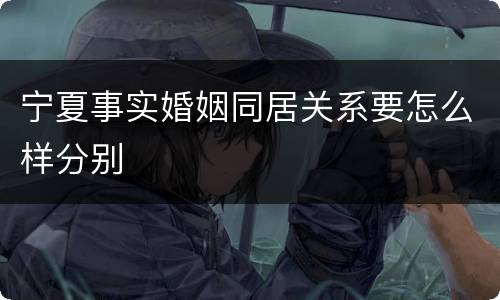 宁夏事实婚姻同居关系要怎么样分别