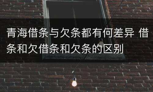 青海借条与欠条都有何差异 借条和欠借条和欠条的区别