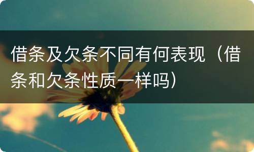 借条及欠条不同有何表现（借条和欠条性质一样吗）