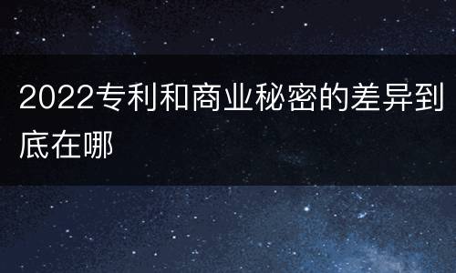 2022专利和商业秘密的差异到底在哪