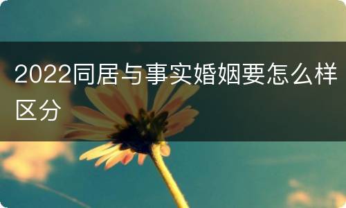 2022同居与事实婚姻要怎么样区分