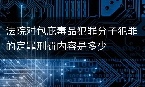 法院对包庇毒品犯罪分子犯罪的定罪刑罚内容是多少