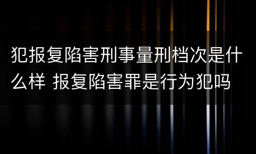 犯报复陷害刑事量刑档次是什么样 报复陷害罪是行为犯吗