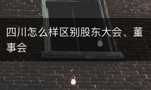 四川怎么样区别股东大会、董事会
