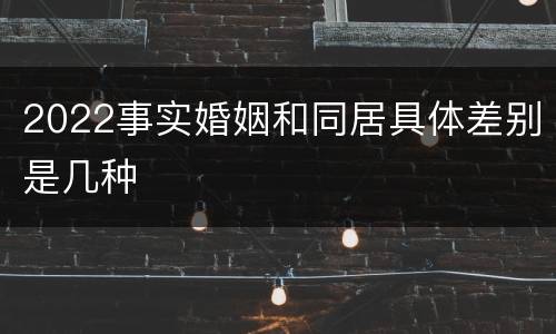 2022事实婚姻和同居具体差别是几种