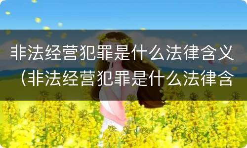 非法经营犯罪是什么法律含义（非法经营犯罪是什么法律含义啊）