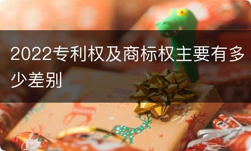 2022专利权及商标权主要有多少差别