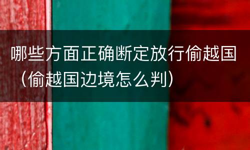 哪些方面正确断定放行偷越国（偷越国边境怎么判）