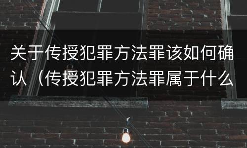 关于传授犯罪方法罪该如何确认（传授犯罪方法罪属于什么罪）