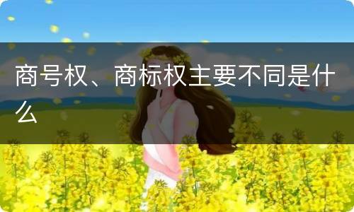 商号权、商标权主要不同是什么