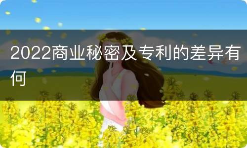 2022商业秘密及专利的差异有何
