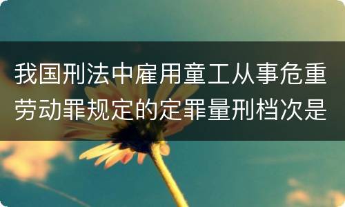 我国刑法中雇用童工从事危重劳动罪规定的定罪量刑档次是怎样的