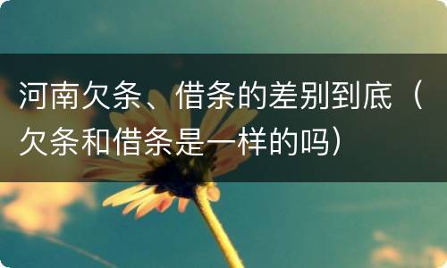 河南欠条、借条的差别到底（欠条和借条是一样的吗）