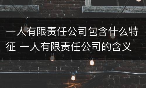 一人有限责任公司包含什么特征 一人有限责任公司的含义