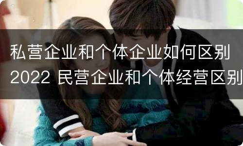 私营企业和个体企业如何区别2022 民营企业和个体经营区别