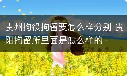 贵州拘役拘留要怎么样分别 贵阳拘留所里面是怎么样的