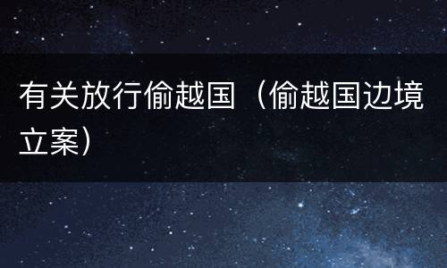 有关放行偷越国（偷越国边境立案）