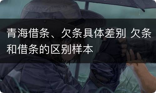青海借条、欠条具体差别 欠条和借条的区别样本