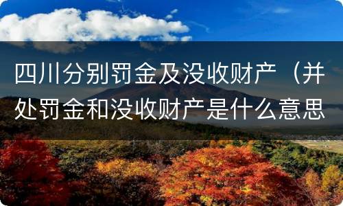 四川分别罚金及没收财产（并处罚金和没收财产是什么意思）