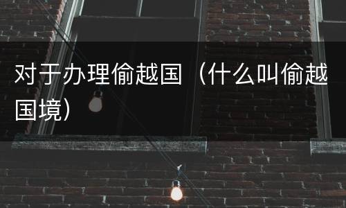 对于办理偷越国（什么叫偷越国境）