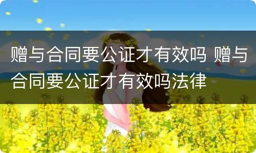 赠与合同要公证才有效吗 赠与合同要公证才有效吗法律