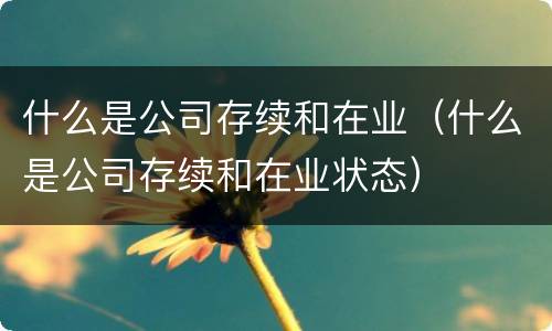 什么是公司存续和在业（什么是公司存续和在业状态）