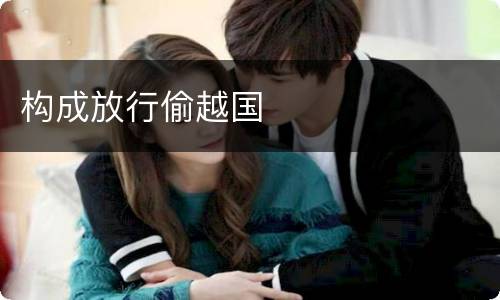 构成放行偷越国