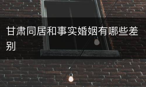 甘肃同居和事实婚姻有哪些差别