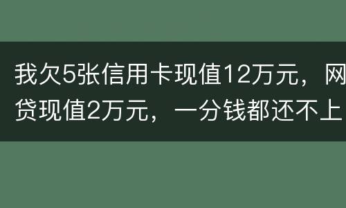 我欠5张信用卡现值12万元，网贷现值2万元，一分钱都还不上了，会判多少年