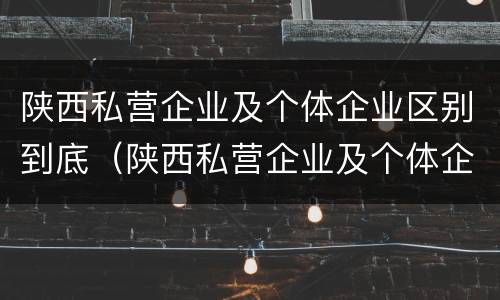 陕西私营企业及个体企业区别到底（陕西私营企业及个体企业区别到底有多大）