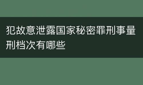 犯故意泄露国家秘密罪刑事量刑档次有哪些