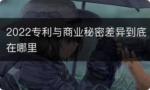 2022专利与商业秘密差异到底在哪里