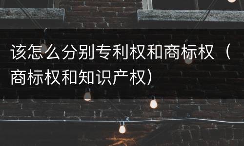 该怎么分别专利权和商标权（商标权和知识产权）