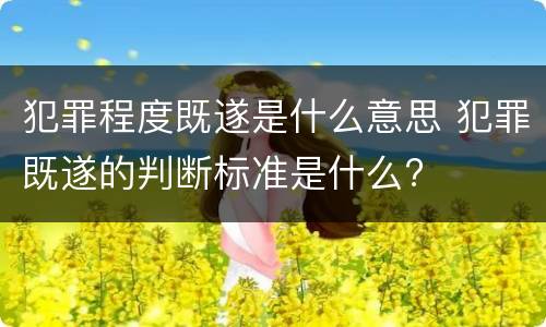 犯罪程度既遂是什么意思 犯罪既遂的判断标准是什么?
