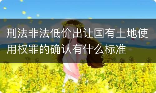 刑法非法低价出让国有土地使用权罪的确认有什么标准