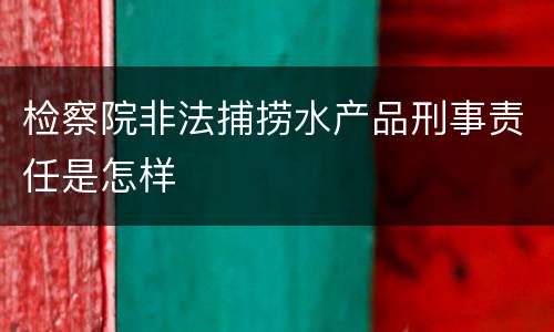 检察院非法捕捞水产品刑事责任是怎样