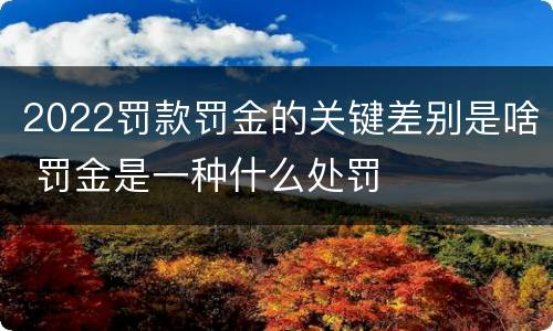 2022罚款罚金的关键差别是啥 罚金是一种什么处罚
