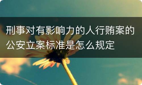 刑事对有影响力的人行贿案的公安立案标准是怎么规定