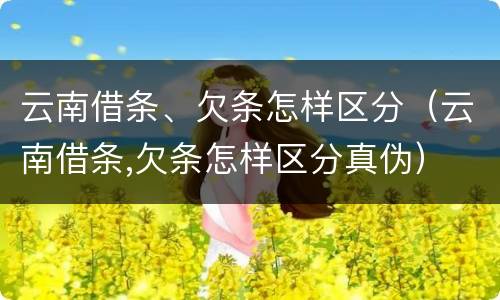 云南借条、欠条怎样区分（云南借条,欠条怎样区分真伪）