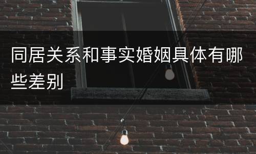 同居关系和事实婚姻具体有哪些差别