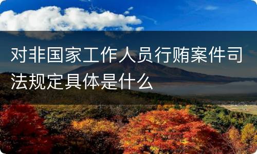 对非国家工作人员行贿案件司法规定具体是什么