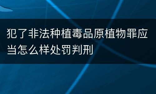 犯了非法种植毒品原植物罪应当怎么样处罚判刑