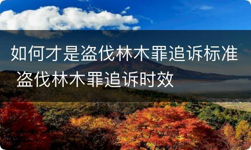 如何才是盗伐林木罪追诉标准 盗伐林木罪追诉时效