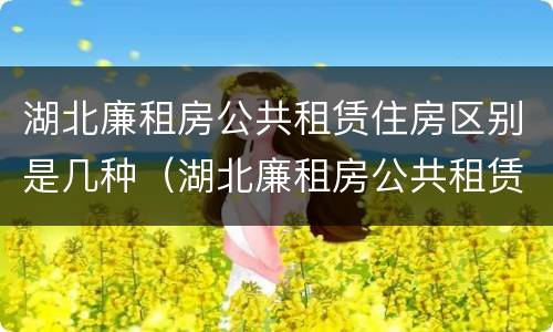 湖北廉租房公共租赁住房区别是几种（湖北廉租房公共租赁住房区别是几种类型）