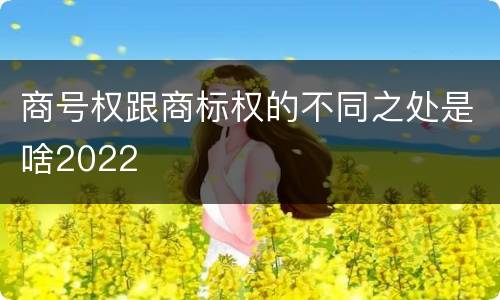 商号权跟商标权的不同之处是啥2022